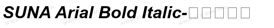 SUNA Arial Bold Italic字体转换